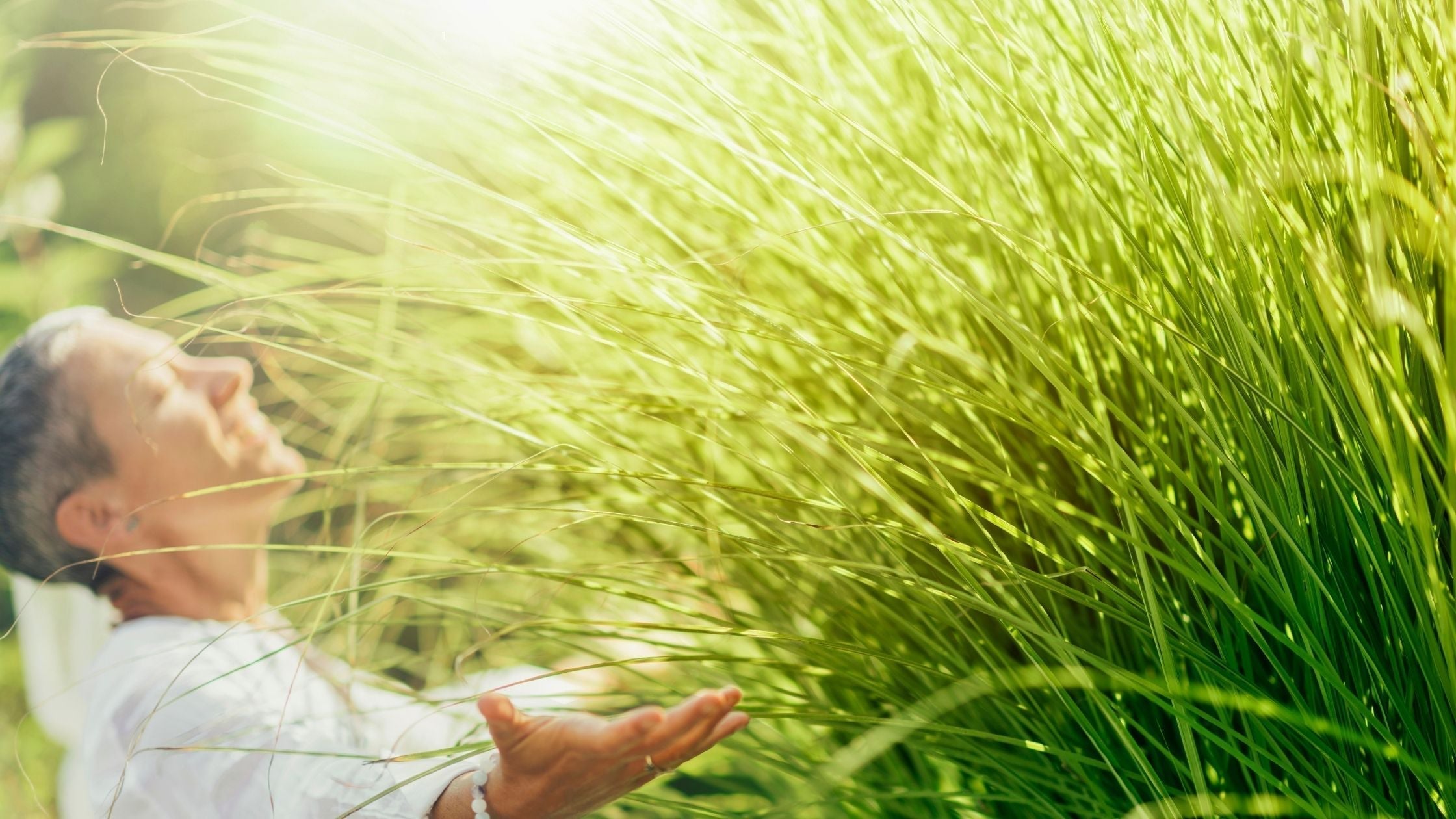 Atraer la Abundancia: Cambia tu Mentalidad y Transforma tu Vida