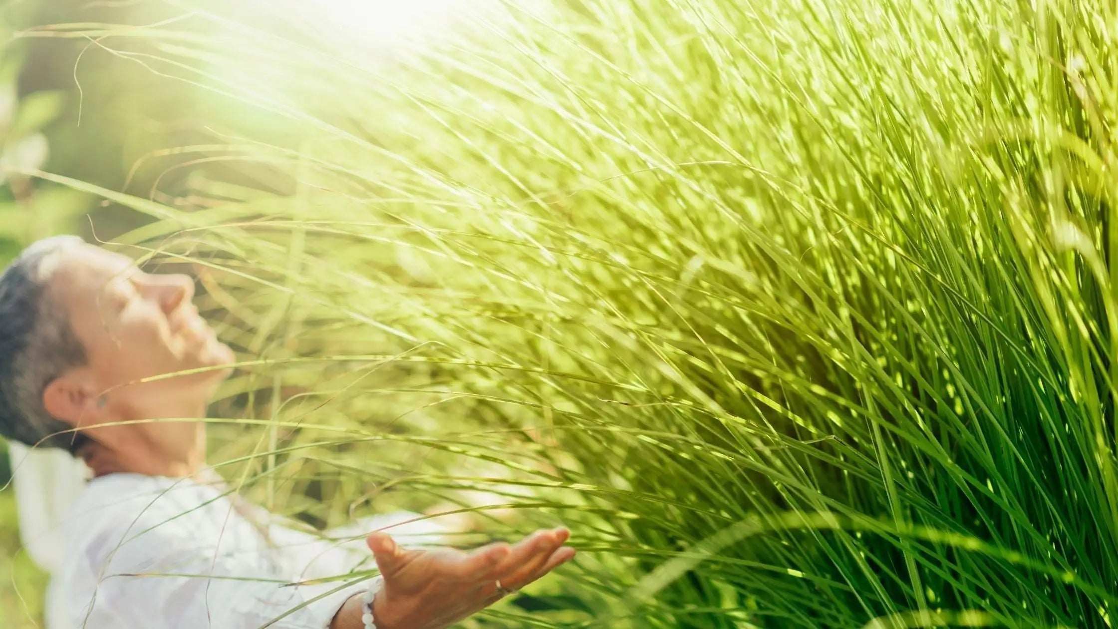 Atraer la Abundancia: Cambia tu Mentalidad y Transforma tu Vida