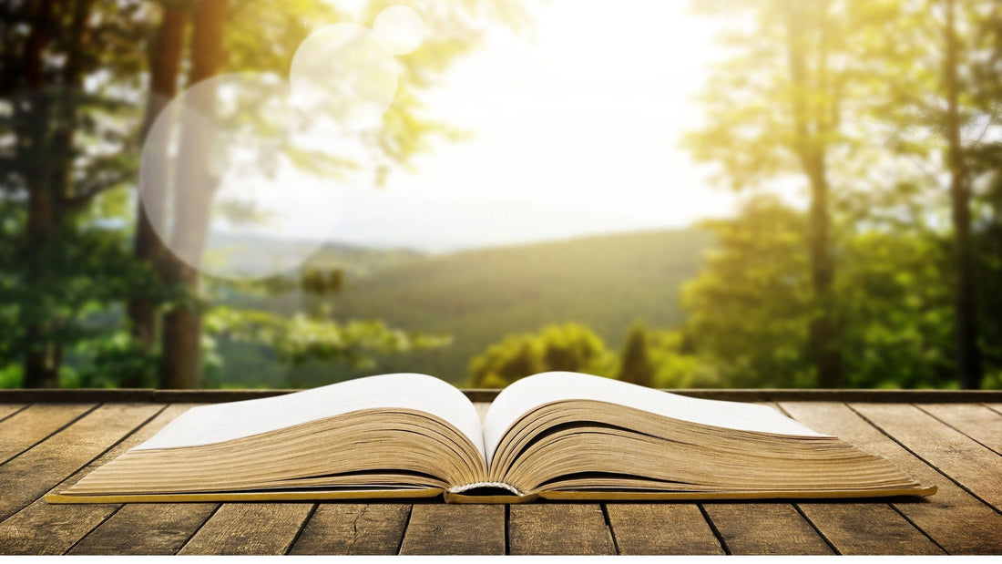 Leer para Crecer: Cómo la Lectura Aumenta la Inteligencia Emocional