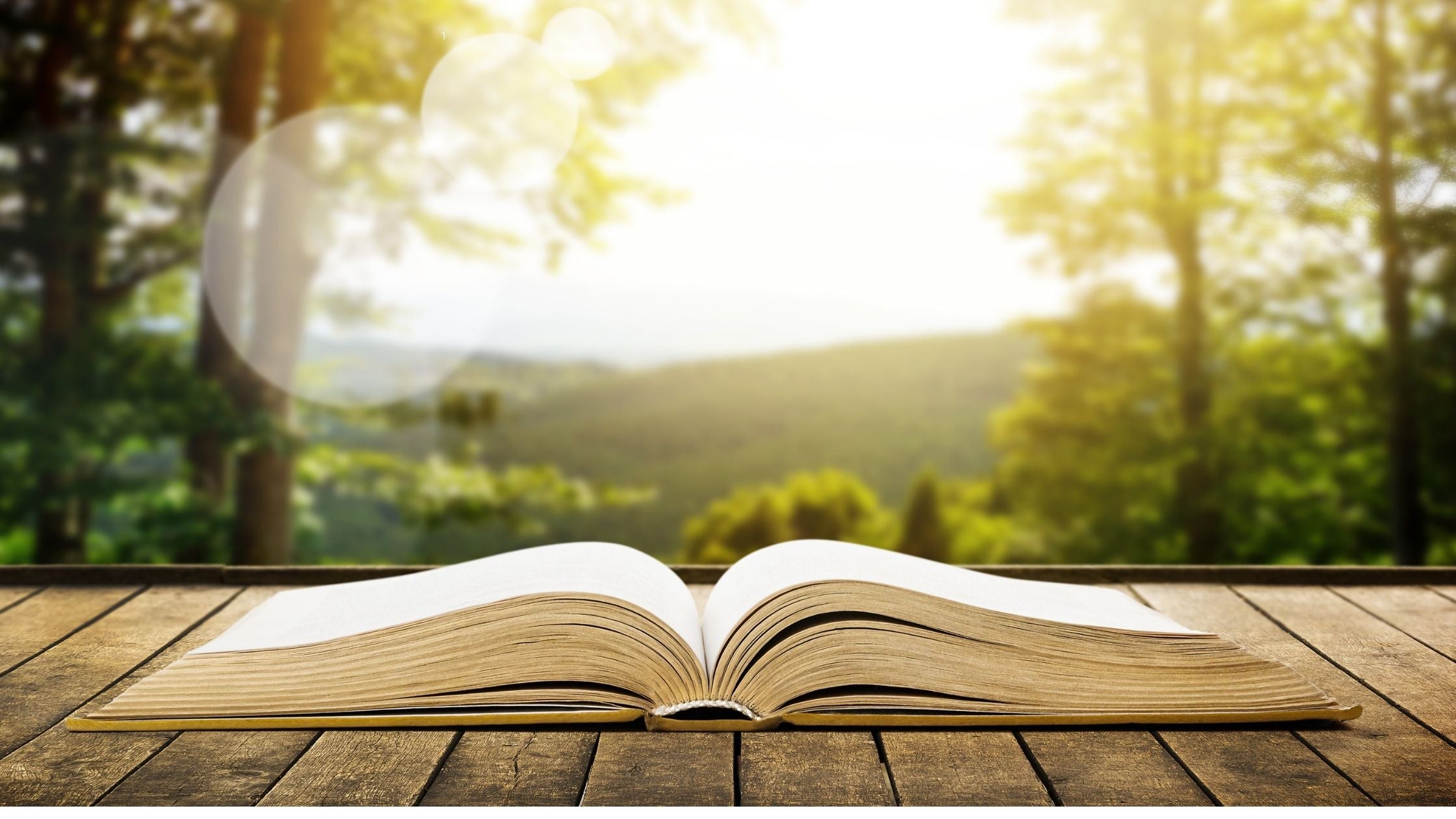 Leer para Crecer: Cómo la Lectura Aumenta la Inteligencia Emocional