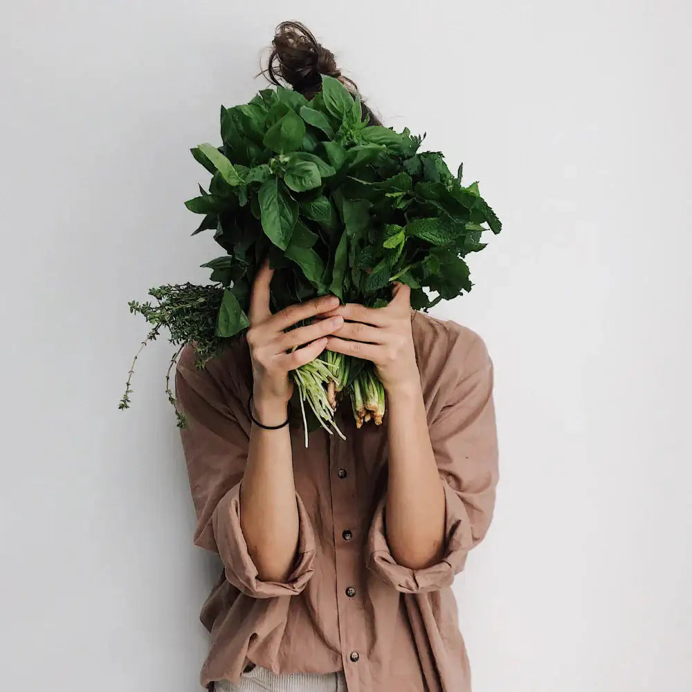Para Veganos