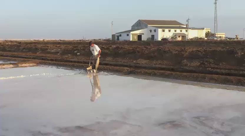 Video laden: 